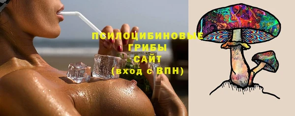jwh Белокуриха