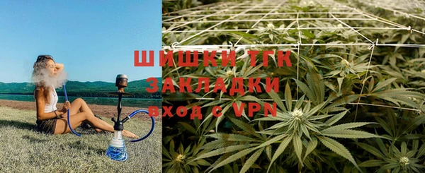 ешки Богданович