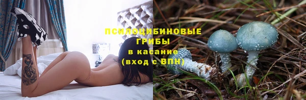 синтетический гашиш Богородицк