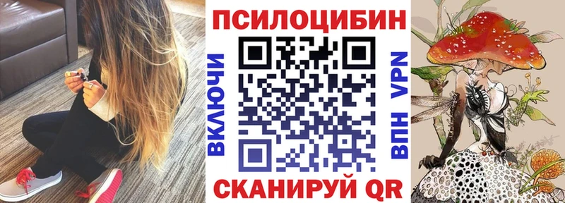 Псилоцибиновые грибы ЛСД  где найти наркотики  KRAKEN рабочий сайт  Высоковск 